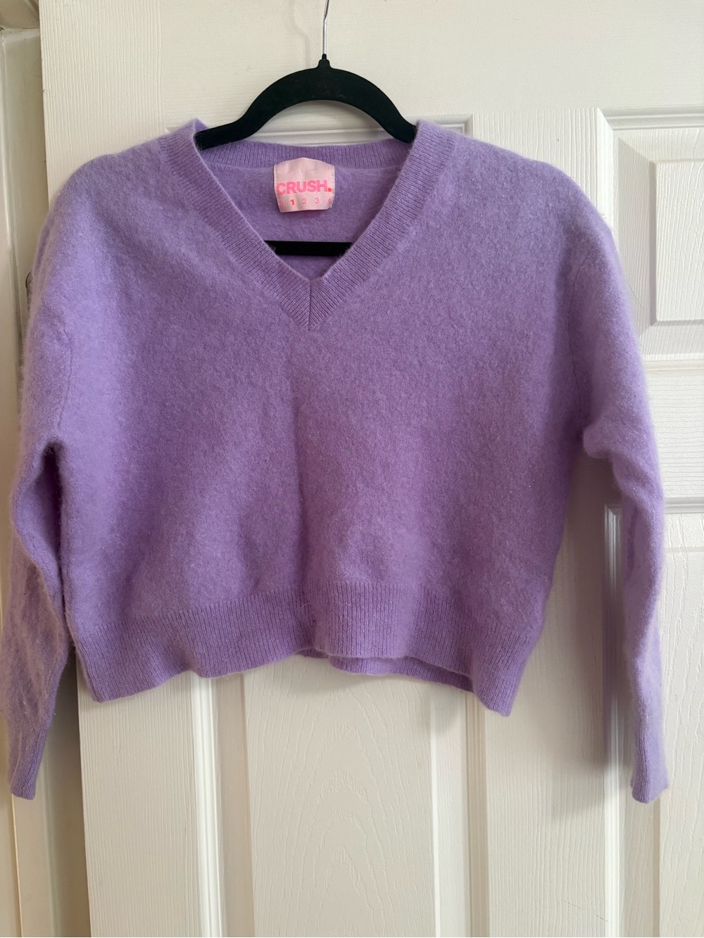 Crush 100% Cashmere cropped v neck pullover sweater quiet luxury purple S